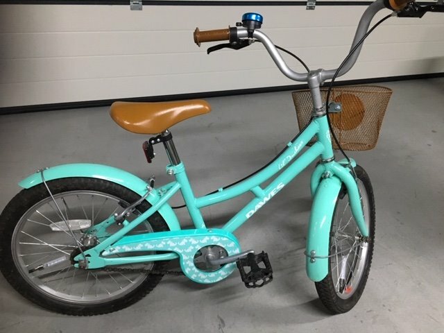 dawes lil duchess 12 bike